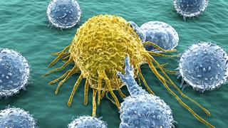 ''Καμουφλαρισμένο'' φάρμακο μαθαίνει στο ανοσοποιητικό να σκοτώνει όγκους