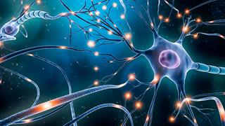 Πειραματικό φάρμακο αναστρέφει την απώλεια συνάψεων σε ποντικούς με Alzheimer