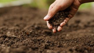 Ρυπογόνες ουσίες στο έδαφος βλάπτουν την καρδιά