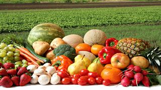 ΕΕ: Έφτασαν τις 124 οι εταιρείες στο πλαίσιο ''Από το αγρόκτημα στο πιάτο''