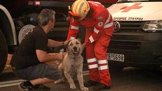 Οι εθελοντές Σαμαρείτες - Διασώστες του ΕΕΣ στην πρώτη γραμμή της μάχης με τις φλόγες στην Πεντέλη