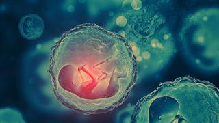 Εμβρυϊκό Υπερηχοκαρδιογράφημα: πότε διενεργείται και γιατί;