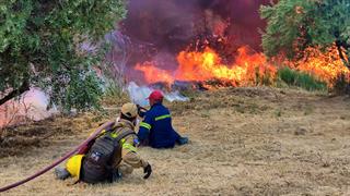 Ιατρικός Σύλλογος Αθηνών: Τι πρέπει να προσέχουμε στις πυρκαγιές
