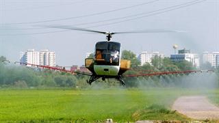 Iός δυτικού Νείλου: Πολλά μολυσμένα κουνούπια στη Θεσσαλονίκη