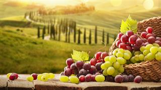 Έρευνα: ‘’Εκπληκτικά’’ αποτελέσματα στην υγεία από την κατανάλωση σταφυλιών