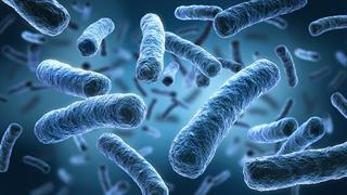 Πώς τα βακτήρια του εντέρου επηρεάζουν την υγεία