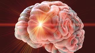 Η γενετική μετάλλαξη που αύξησε τους νευρώνες του εγκεφάλου των προγόνων μας [έρευνα]