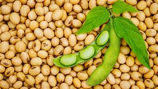 Οι πιο συχνοί μύθοι για τη σόγια