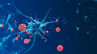 Πρωτεΐνη επιτρέπει στα καρκινικά κύτταρα να χρησιμοποιούν εναλλακτικές πηγές τροφής