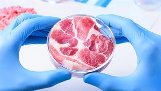 Αμερικανική start-up  πήρε πράσινο φως από τον FDA για κρέας που καλλιέργησε στο εργαστήριο