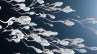 Μειώνεται με ταχύ ρυθμό η ποσότητα σπέρματος των αντρών παγκοσμίως