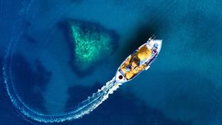 SOS από τους επιστήμονες για την υπεραλιεία στη Μεσόγειο
