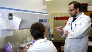 Κορωνοϊός και ζώα: Δεδομένα, ερωτηματικά, δυνητικοί κίνδυνοι