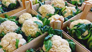 Κουνουπίδι για ιώσεις, καρδιαγγειακά, καρκίνο, αδυνάτισμα  και αποτοξίνωση