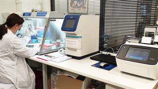 Νεκρός 57χρονος με λεπτοσπείρωση στη Ζάκυνθο