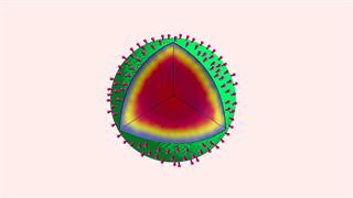 Καρκίνος: Καινοτόμο σύστημα χορήγησης φαρμάκου εμπνευσμένο από σπόρους βακτηρίων 