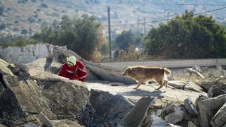 12 σκύλοι έρευνας και διάσωσης της Ελληνικής Ομάδας Διάσωσης εκπαιδεύονται στον Χορτιάτη
