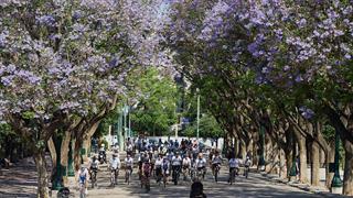 Τρέχουμε – κάνουμε ποδήλατο και ενημερωνόμαστε