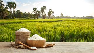 Η μεγαλύτερη έλλειψη ρυζιού των τελευταίων 20 ετών παγκοσμίως