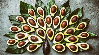 Αβοκάντο, ο 