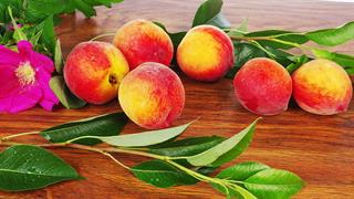 Ροδάκινα: Όσα θέλουμε να ξέρουμε για το καλοκαιρινό φρούτο