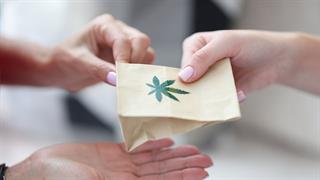 Αμείωτες οι επενδύσεις σε φαρμακευτική κάνναβη