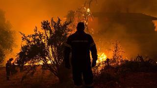 Ανοιχτή ημερίδα για τη διαχείριση των δασικών πυρκαγιών στη Θεσσαλονίκη