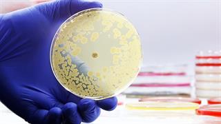 Επικίνδυνο νοσοκομειακό μικρόβιο επιτίθεται στο ανοσοποιητικό 