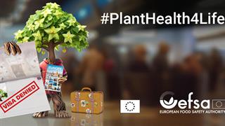 Εκστρατεία #PlantHealth4Life σχετικά με τη σημασία της υγείας των φυτών