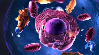 Βακτηριοφάγοι: Οι ευεργετικοί ιοί