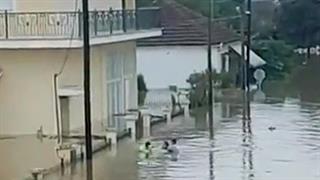 Ο Πανελλήνιος Σύλλογος Εργοθεραπευτών συγκεντρώνει είδη πρώτης ανάγκης για τους πλημμυροπαθείς