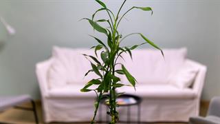 Μονάδα Ολοκληρωμένης Υποστήριξης για παιδιά, εφήβους και νεαρούς ενήλικες που νόσησαν με καρκίνο