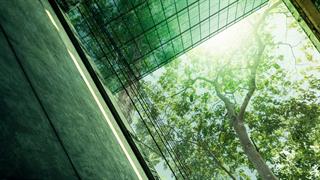 Το φυσικό περιβάλλον προάγει την ψυχική υγεία [έρευνα]