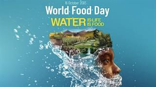 Παγκόσμια Ημέρα Επισιτισμού