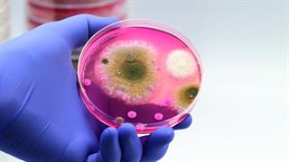 Αντιμυκητιασικά σε καρκινοπαθείς: H φαρμακευτική παρακολούθηση αποφεύγει την υποδοσολογία 