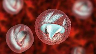 ECDC: Αύξηση κρουσμάτων κρυπτοσποριδίωσης -  Πώς μεταδίδεται και πόσο επικίνδυνη είναι