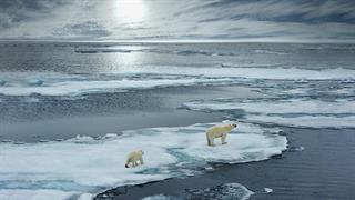 Η ατζέντα και τα αγκάθια στη διάσκεψη COP28 για το κλίμα