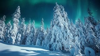 Βυθίστηκε στους -42,1 βαθμούς Κελσίου ο υδράργυρος στη Φινλανδία