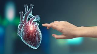 Η πρώτη βιορομποτική καρδιά που θα μπορούσε να βοηθήσει την έρευνα και την αγωγή της καρδιοπάθειας