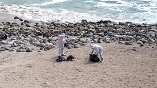 Επιστήμονες εντόπισαν τον ιό Η5Ν1 σε θηλαστικά στην Ανταρκτική