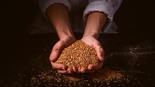 Καρκίνος μαστού: Θρεπτικές ουσίες σόγιας, ξηρών καρπών και οσπρίων είναι πιθανό να προλαμβάνουν την υποτροπή [μελέτη]