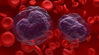 Ερευνητές ανακάλυψαν ουσία που καταπολεμά τη λευχαιμία και το λέμφωμα