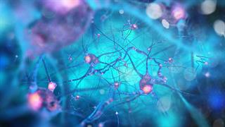 Τοξικοί κλώνοι RNA δίνουν απαντήσεις για γηρασμένα εγκεφαλικά κύτταρα και άνοια [μελέτη]