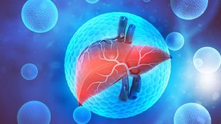 Nέος αγωνιστής των υποδοχέων των θυρεοειδικών ορμονών για τη θεραπεία της μη αλκοολικής στεατοηπατίτιδας