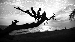 Επιτυχημένη πρεμιέρα του “Click for Life”: 1.230 φωτογραφίες αφιερωμένες στη νίκη ενάντια στον καρκίνο