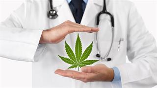 Λαμπρό το μέλλον της φαρμακευτικής κάνναβης