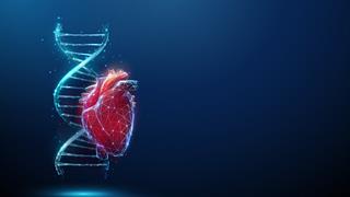  28η Φεβρουαριου 2024: Διεθνής ημέρα για την υπερτροφική μυοκαρδιοπάθεια