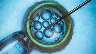 Νέα τεχνολογία είναι πιθανό να οδηγήσει στη δημιουργία εμβρύων με γονίδια από 2 άντρες