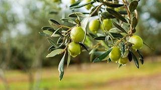 Η συνεργασία της Bayer Ελλάς με τη We4all συνεχίζεται με κοινό στόχο τη δημιουργία ενός βιώσιμου μέλλοντος