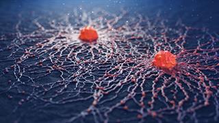 Εφαρμογή Ψηφιακών Εργαλείων για την Ποιότητα της Φροντίδας στον Ογκολογικό Τομέα